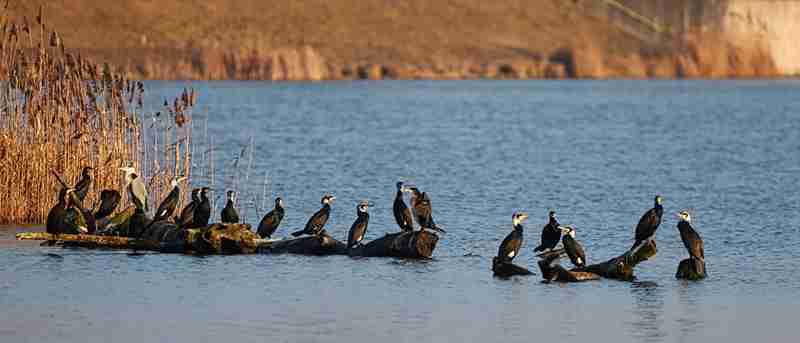 Indonesien Intensiv Reise – faszinierende Tempel, Reisterrassen und tropische Landschaften auf Bali und Java