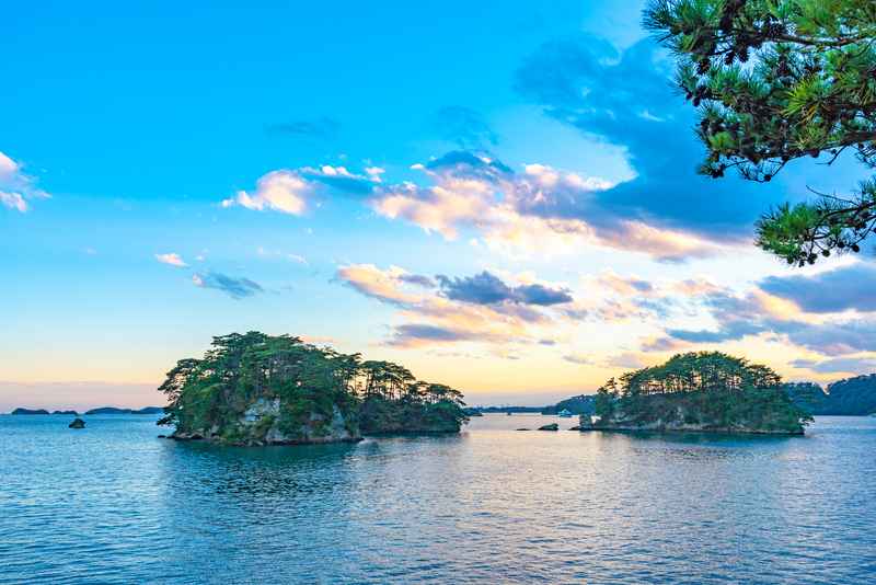 Matsushima Bay Pine Islands Japan
